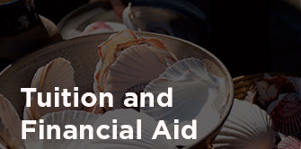 Business Office: Tuition and Financial Aid Seashells in a bowl, symbols of tranquility and spiritual contemplation at Wesley Theological Seminary