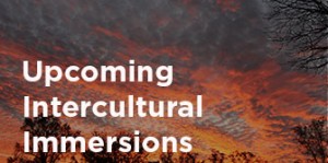 upcoming intercultural immersions